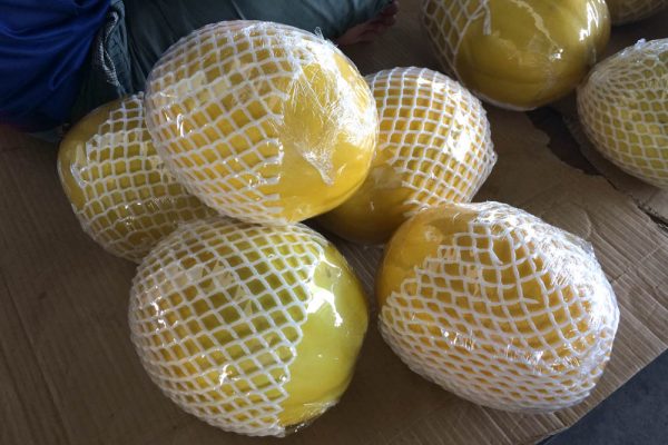 Fruit Netting 1