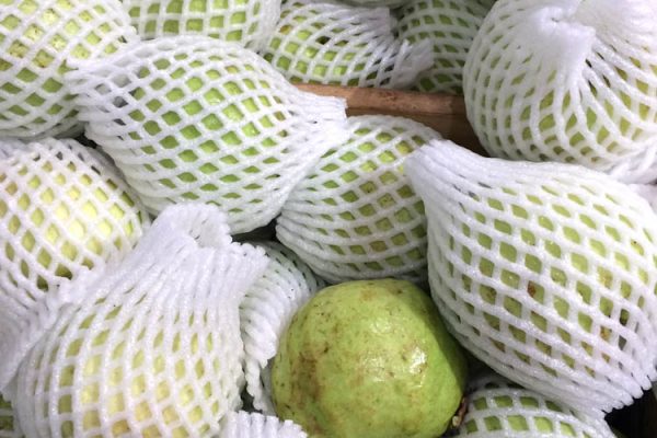 Fruit Netting 2