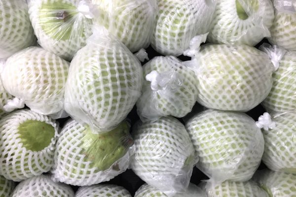 HM Bag & Fruit Netting